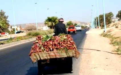 maghreb hagyományos