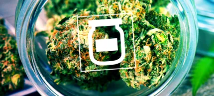 kannabisz kannabisz
