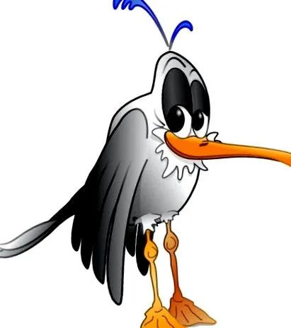 mouette