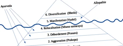 dosha-docha-ayurveda