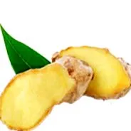 ghimbir