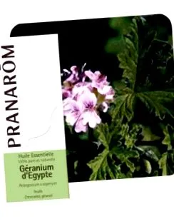 pranarom