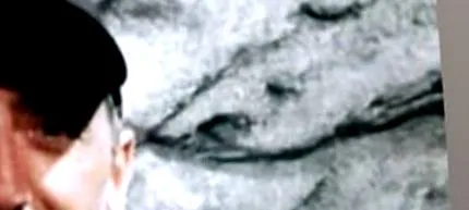 elmaleh