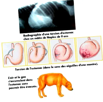 răsucirea