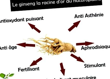 természetgyógyász természetgyógyász