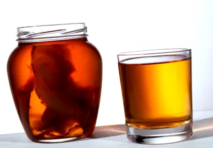 kombucha