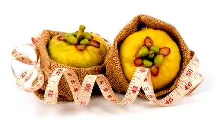 cambogia