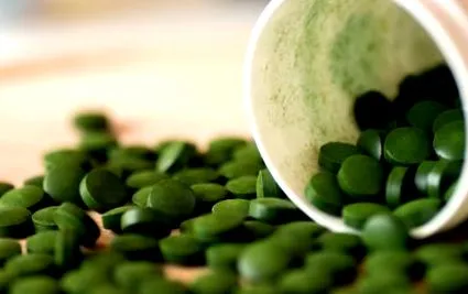 spirulina spirulina