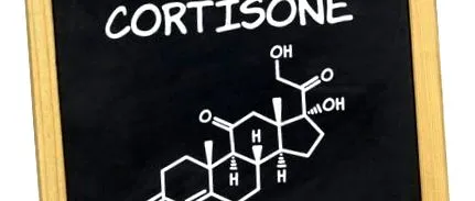 kortizon