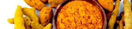 curcuma curcuma