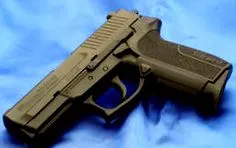 sauer sauer