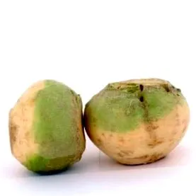 karalábé