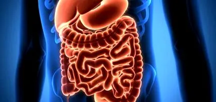 pancreasul artificial