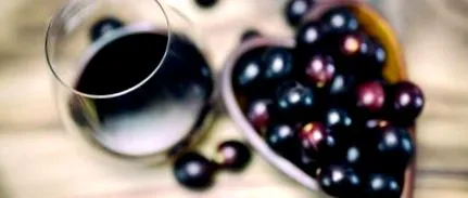 polifenol