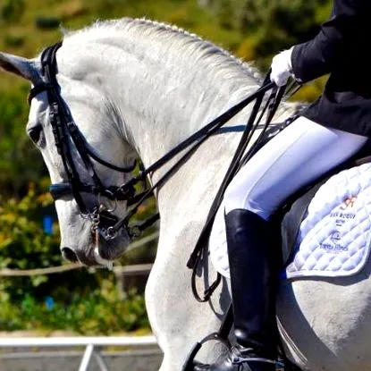 equitaci