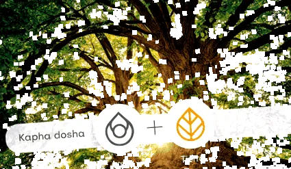 dosha