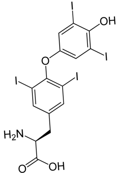 Levothyrox Levothyrox Levothyrox