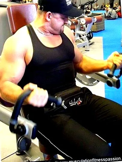 vezetett
