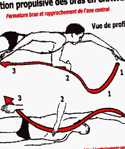 program