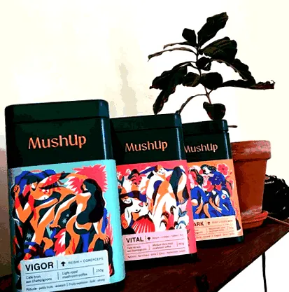 mushup mushup