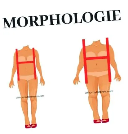 morfológia