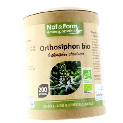 orthosiphon