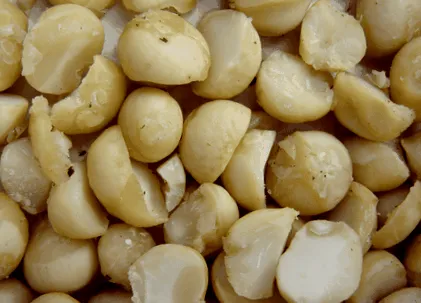 makadámiadió