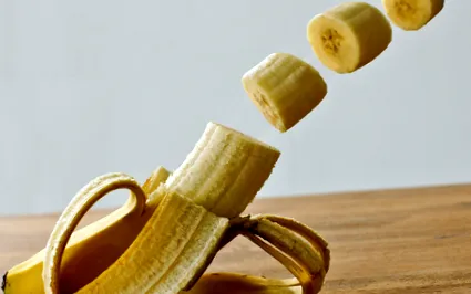 mono-dietă