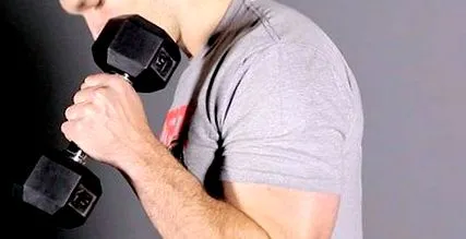 biceps