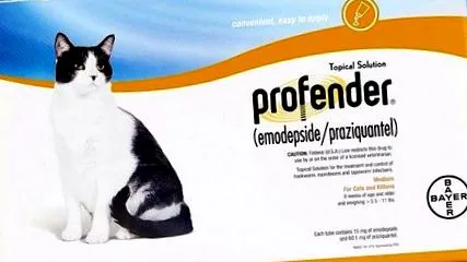 acțiune