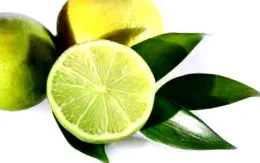 Citrus paradisii