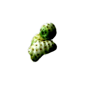 capsule