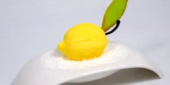 nutriție pagina
