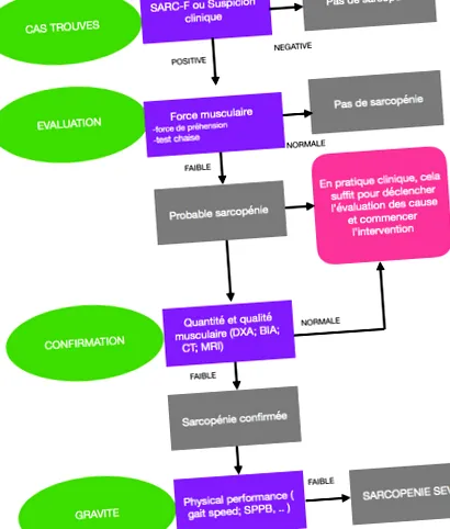 sarcopenia