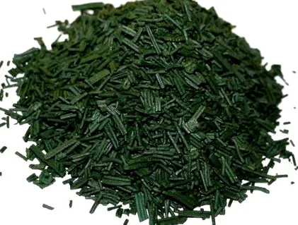 spirulina test