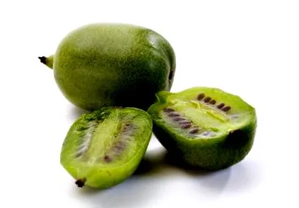 nutriție