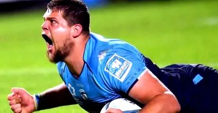 willemse willemse