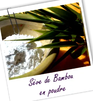bambus