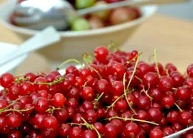 recolta fructe uscate