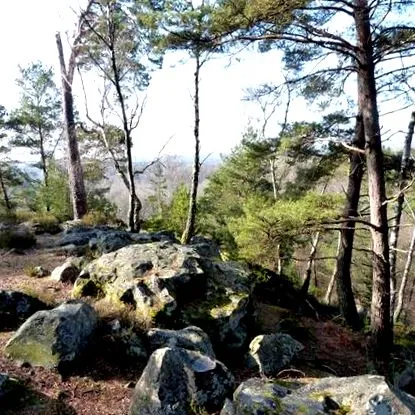 vallée