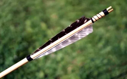 multe stiluri