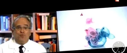 сексу профілактика