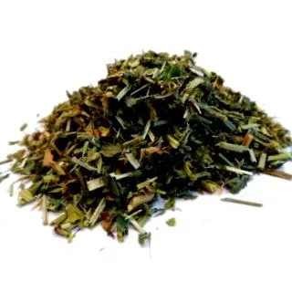 люцерна sativa
