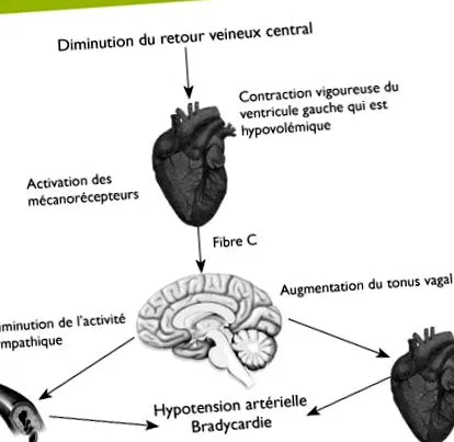 diagnosticului