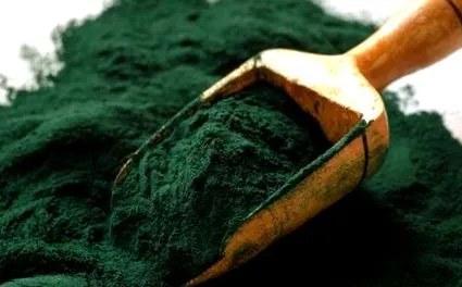 hogy spirulina