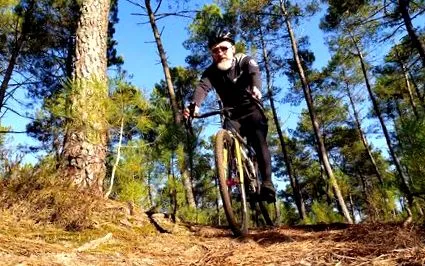 fizik
