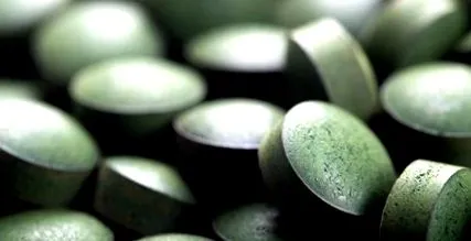 spirulina