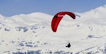 stelvia Porcher Sport