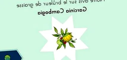garcinia