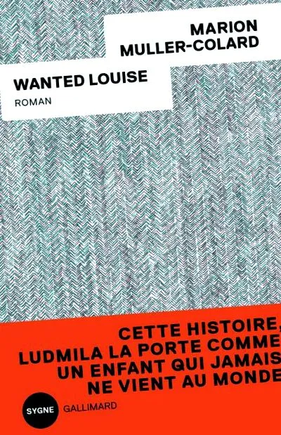 louise-nak regényt